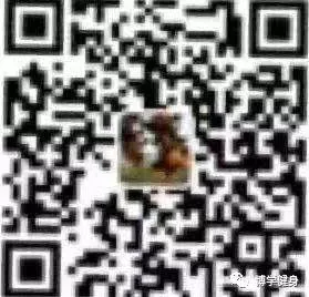 如何根据篮球比赛的不同阶段调整力量训练强度?_0