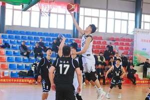  业余篮球爱好者适合参加哪些锦标赛